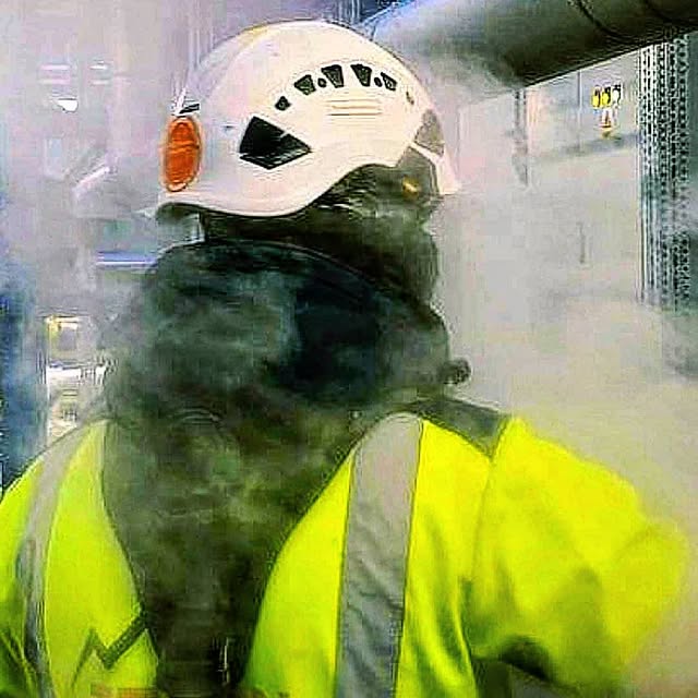 Z czym wiąże się praca alpinisty przemysłowego? 

Alpinizm przemysłowy znajdzie zastosowanie wszędzie tam,
 gdzie dostęp linowy ma swoje 
uzasadnienie ekonomiczne i logiczne. 
Wykorzystuje się w nim techniki budowania stanowisk, wykonywania zjazdu i podchodzenia na linie. 
Wymaga specjalistycznego sprzętu, 
umiejętności,
 siły i wytrzymałości fizycznej. 
Alpinista przemysłowy pracuje najczęściej na zewnątrz, 
narażony na wszelkie zjawiska atmosferyczne.🥶🥵
 Działa na dużych wysokościach,
 niejednokrotnie w trudnych,
 a nawet szkodliwych dla zdrowia warunkach.
 Każdy błąd może kosztować go utratę cennego sprzętu, 
zdrowia, a nawet życia. 
Bez przesady można powiedzieć, 
że jest to zajęcie dla prawdziwych twardzieli.🧗💁💪

(frag.tekstu 8academy)